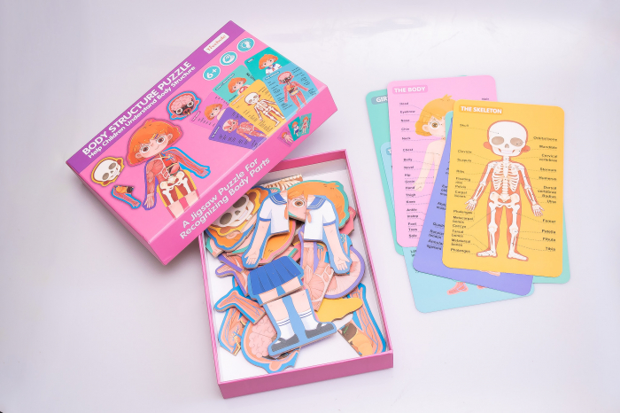 Puzzle educativ. Anatomia corpului omenesc. Fetita [6]