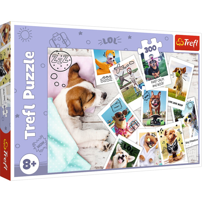 PUZZLE TREFL 300 POZE DIN VACANTA [1]