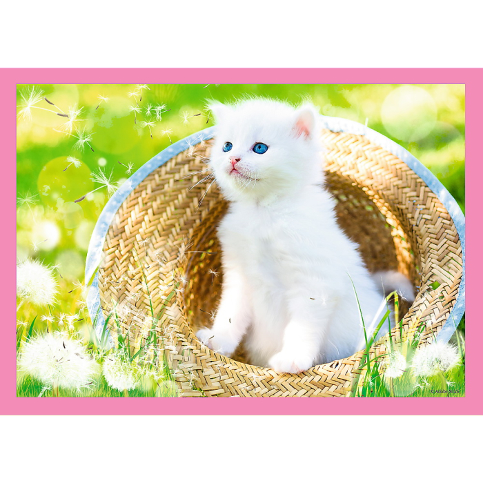 PUZZLE TREFL 4IN1 PISICUTELE DRAGALASE [3]