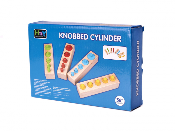 Set cilindri colorati Montessori [3]