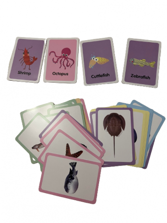 Jucării copii 0-1 ani - Carduri educative. Animale marine
