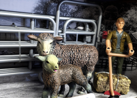 Ferma cu oi  - colectia The World of Animals [3]