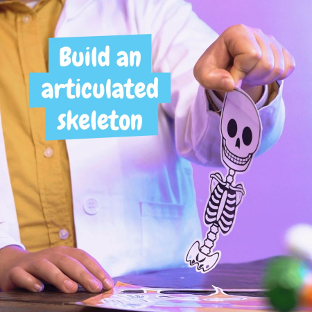 JOC EDUCATIV DESCOPERA CORPUL UMAN [3]