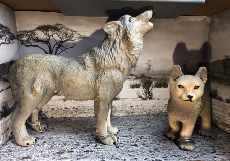 Lup si puiul- colectia The World of Animals [1]