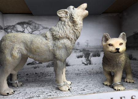 Materiale didactice - Lup si puiul- colectia The World of Animals