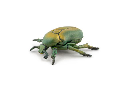 PAPO FIGURINA CARABUS [7]