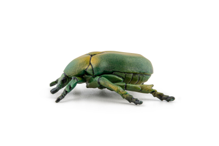 PAPO FIGURINA CARABUS [2]
