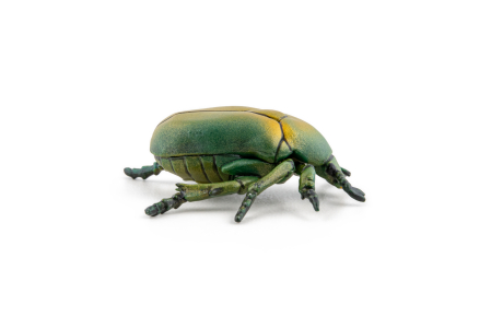 PAPO FIGURINA CARABUS [4]
