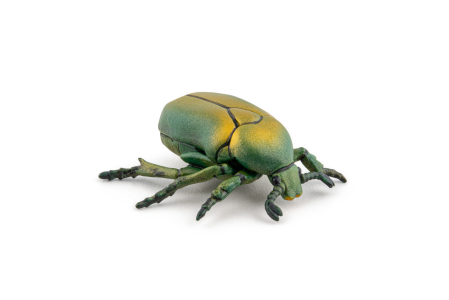 PAPO FIGURINA CARABUS [5]