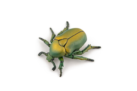 PAPO FIGURINA CARABUS [1]