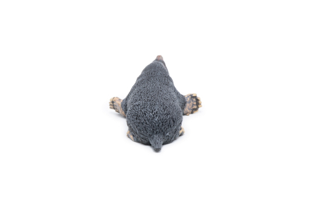 PAPO FIGURINA CARTITA [6]