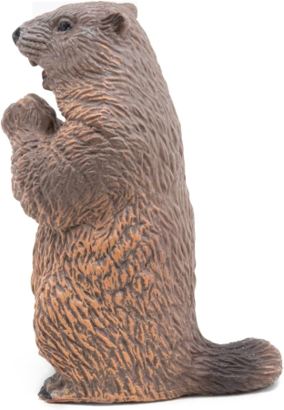 PAPO FIGURINA CASTOR [2]
