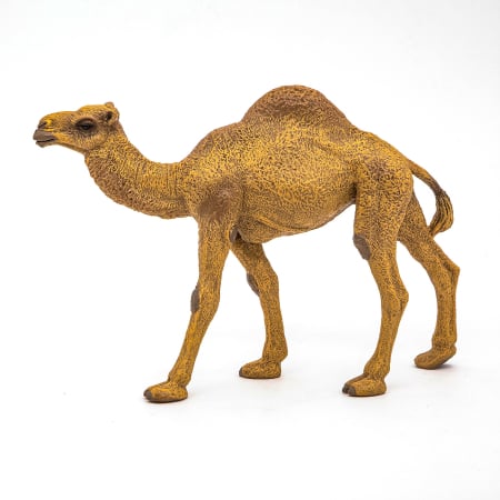 PAPO FIGURINA DROMADER [4]