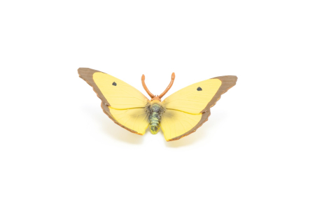 PAPO FIGURINA FLUTURE GALBEN [3]