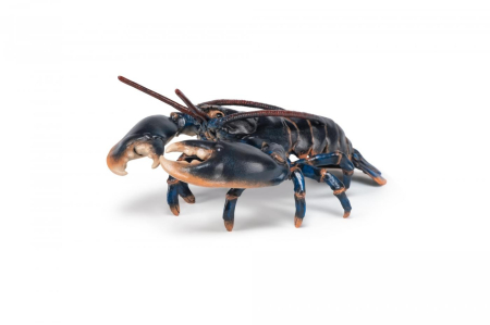 PAPO FIGURINA HOMAR [4]