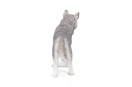 PAPO FIGURINA HUSKY SIBERIAN [6]