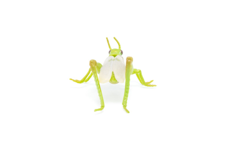 PAPO FIGURINA LACUSTA [1]