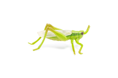 PAPO FIGURINA LACUSTA [2]