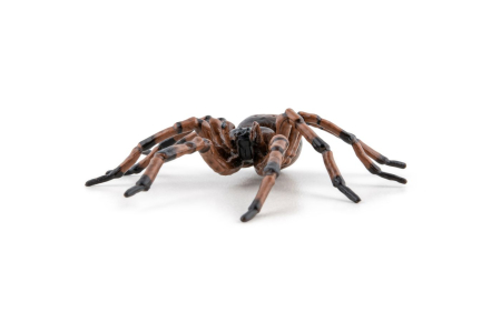 PAPO FIGURINA PAIANJEN [6]