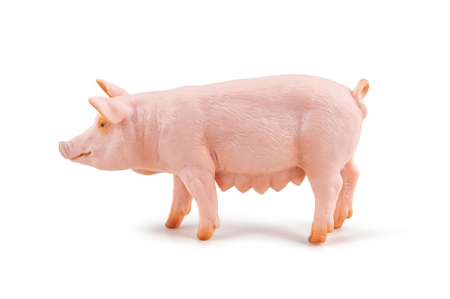 PAPO FIGURINA SCROAFA [5]