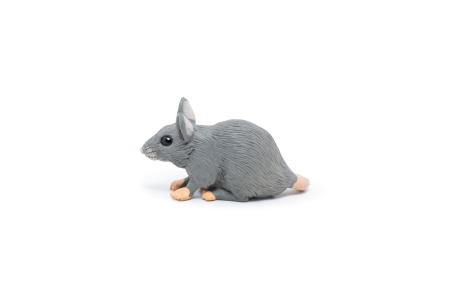 PAPO FIGURINA SORICEL [2]