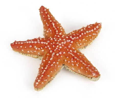 Figurine cu eroi și personaje - PAPO FIGURINA STEA DE MARE
