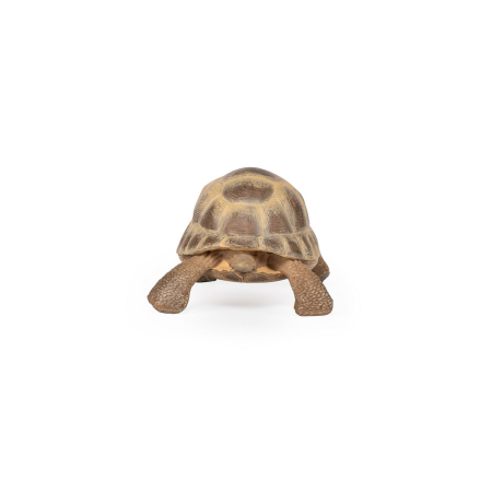 Figurine cu eroi și personaje - PAPO FIGURINA TESTOASA DE USCAT
