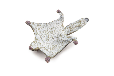 PAPO FIGURINA VEVERITA ZBURATOARE [1]