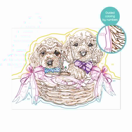 PICTEAZA SI INRAMEAZA CATELUSI ADORABILI [6]