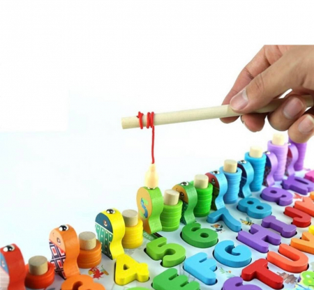 Placa logaritmica 5 in 1 [1]