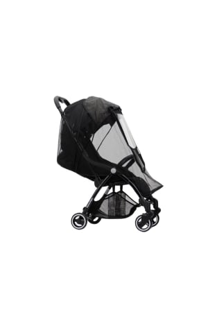 PLASA INSECTE CARUCIOR HAMILTON [6]