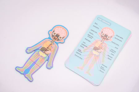 Puzzle educativ. Anatomia corpului omenesc. Baietel [2]