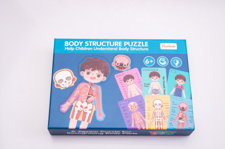 Puzzle educativ. Anatomia corpului omenesc. Baietel [1]