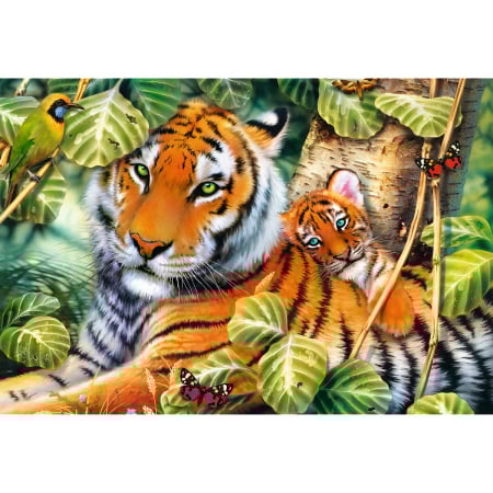 PUZZLE TREFL 1500 TIGRI BENGALEZI IN PADUREA TROPICALA [1]