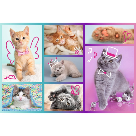 PUZZLE TREFL 60 PISICUTE DRAGUTE [1]