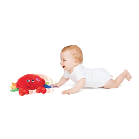 WINFUN JUCARIE CRABUL DANSATOR [2]