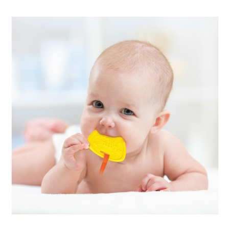 WINFUN JUCARIE ELEFANTEL [6]