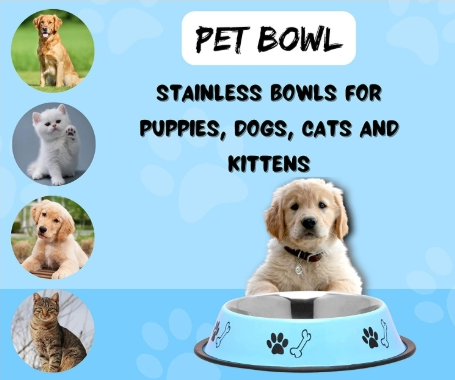 Castron de inox pentru animale de companie [3]