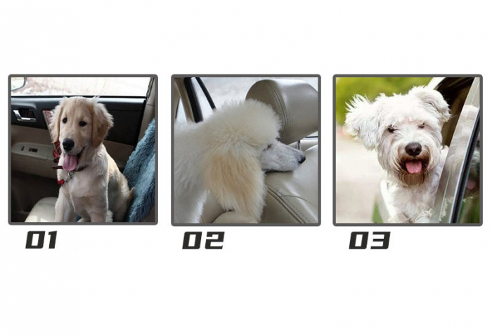 Centură de siguranță pentru căței [2]