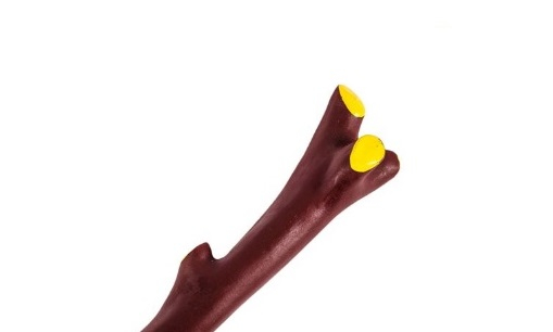 Jucarie in forma de creanga pentru caini [2]