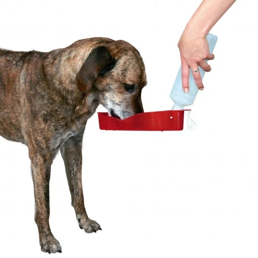 Sticlă de apă cu bol de plastic pentru animale de companie [7]