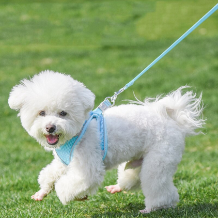 Ham cu lesă pentru căței [1]