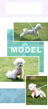 Produse pentru animale de companie - Ham cu lesă pentru căței