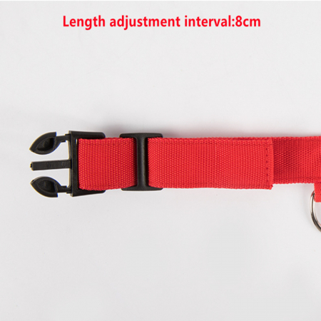 Zgardă luminoasă [1]