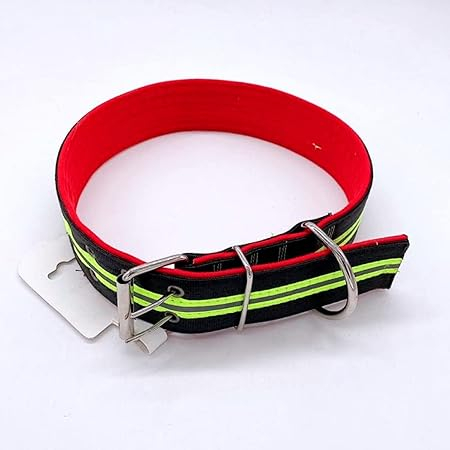 Zgarda pentru caini, police dog [1]