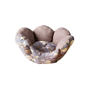 Culcus rotund Floare [1]