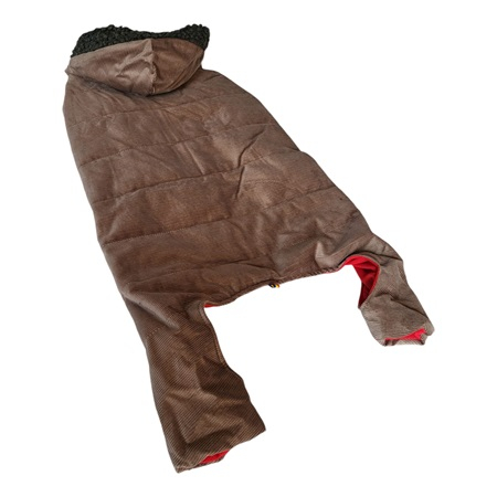 Hainuta 4 labute [1]