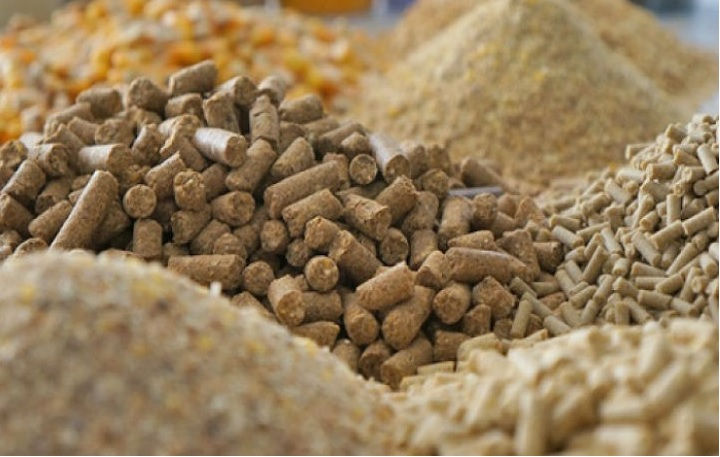 Furaje granulate vs Furaje combinate