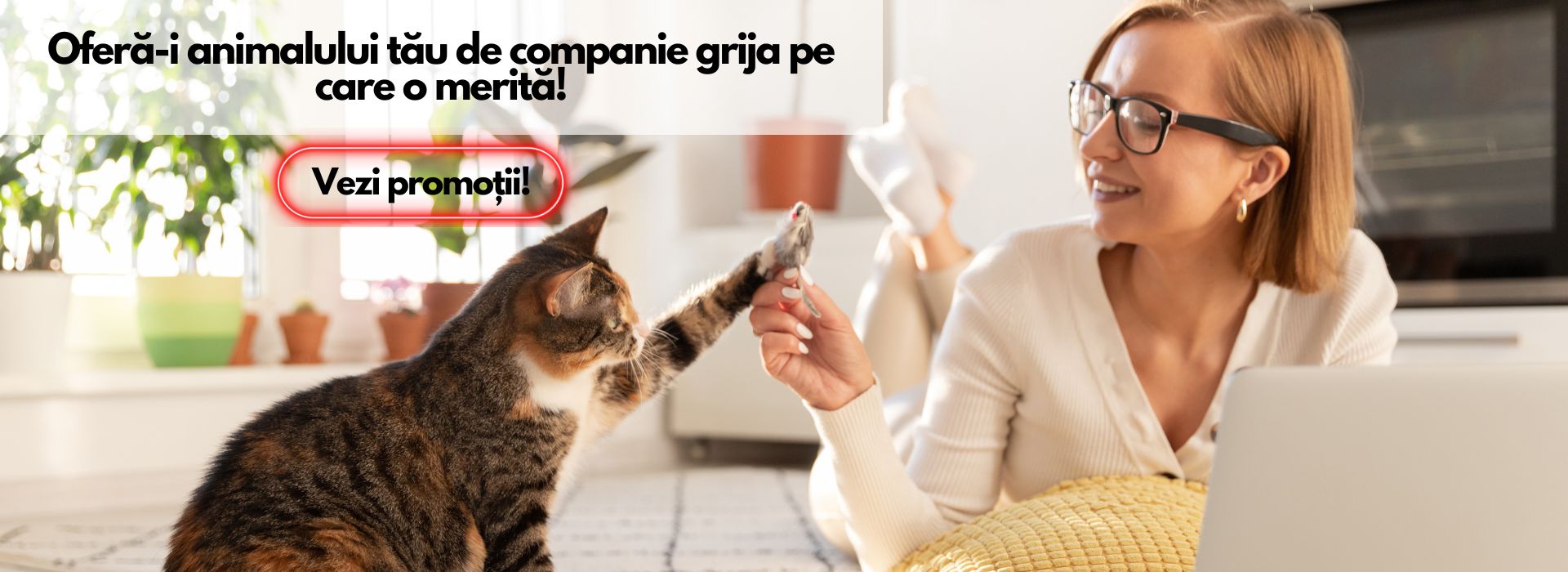 Gama completa de produse si accesorii pentru pisici!