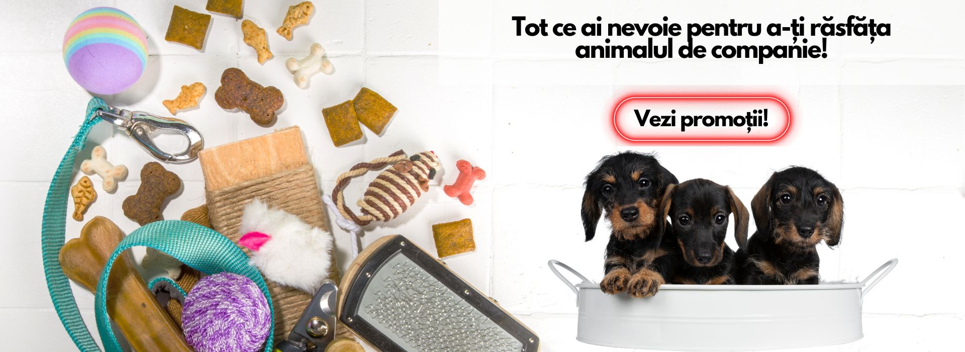 Gama completa de produse si accesorii pentru caini!